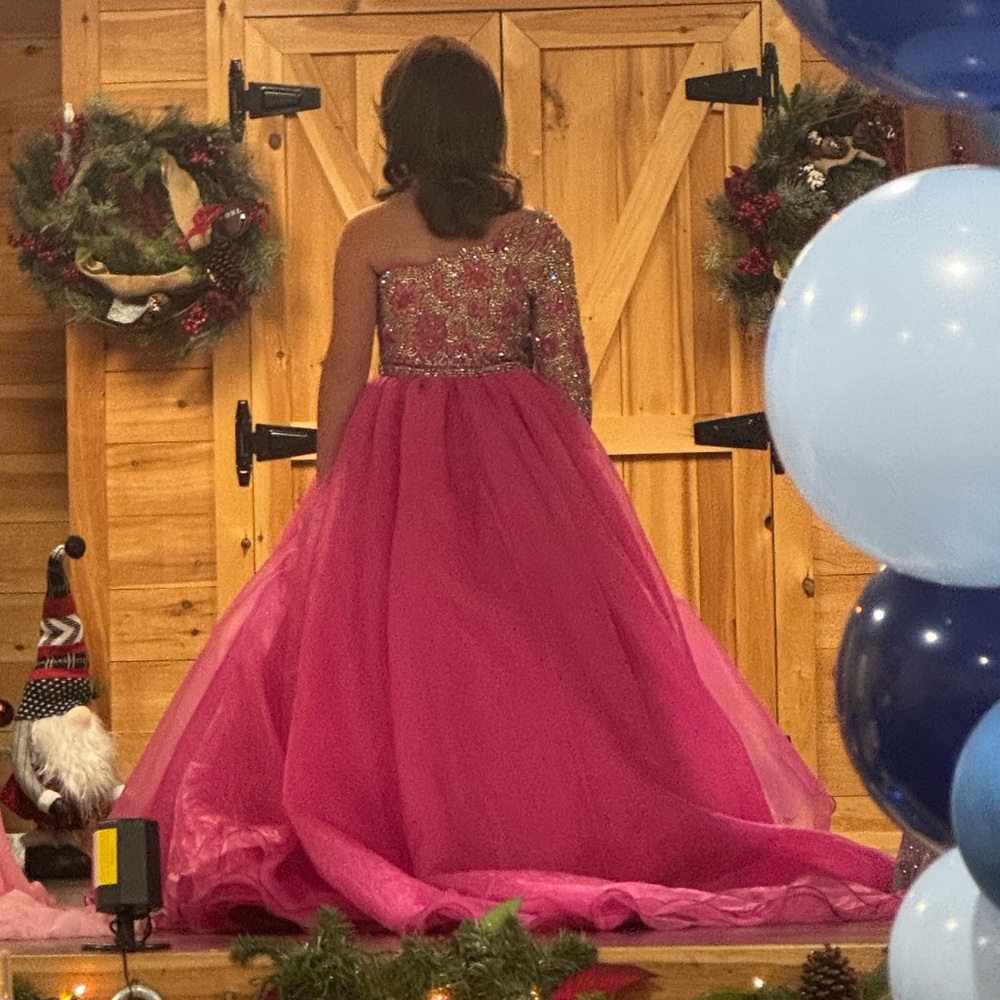 Pageant Dress - Picture 3 of 4